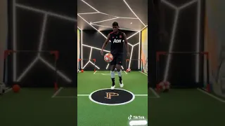 Paul pogba and zlatan ibrahimovic challenge