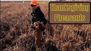Thanksgiving Pheasant Hunt in South Dakota
