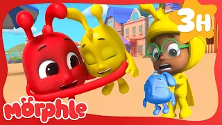 Baby Morphles Hide and Seek | Morphle | Cool Kids Cartoon | Colorful Babies!