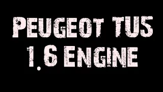 Peugeot TU5 1.6 Engine#peugeot #shorts  #engine