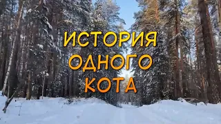 ИСТОРИЯ ОДНОГО КОТА - Начало