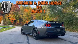 Dark Horse Break In Unlocks Power! 2024 Mustang Dark Horse vs Mach 1