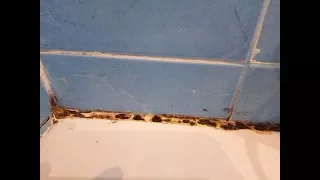 Удаление силикона с плесенью в ванной комнате