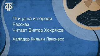 Халлдор Кильян Лакснесс. Птица на изгороди. Рассказ. Читает Виктор Хохряков (1970)