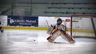 Benet Academy vs. New Trier Green Playoff Hockey, March 16, 2015