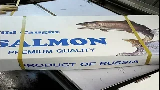 Compañía Rusa con la granja de salmon más grande iniciará exportación al mercado Chino