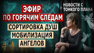 По горячим следам. Новости с Тонкого плана. Сортировка душ. Мобилизация Ангелов