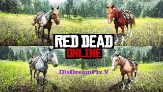 ALL the horses in Red Dead Online ΙΙ Showcase ΙΙ 2024 edition