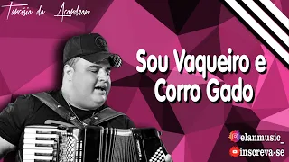 Sou Vaqueiro e Corro Gado - Tarcísio do Acordeon