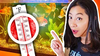 5 Simple Tricks to COOL Aquarium Water