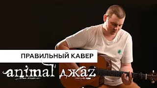 Виктор Малыгин - Чувства (кавер Animal Джаz)