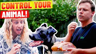 Lifeguards Try To Train A Dog (How To Do Sh*t with Jeff & Joel)