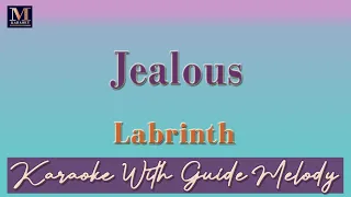 Jealous - Karaoke With Guide Melody (Labrinth)