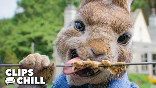 Rabbits vs. Electric Fence | Peter Rabbit | Clips & Chill
