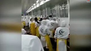 Chinese workers hurl crayfish at each other in factory brawl