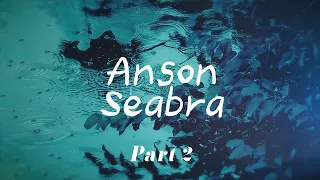 [𝐏𝐥𝐚𝐲𝐥𝐢𝐬𝐭] It's raining and Anson Seabra's voice makes my heart cryㅣAnson Seabra part 2🎵