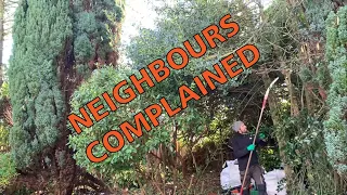 NEIGHBOURS Complained About This | PART 3 | Lawn Care Clear Up