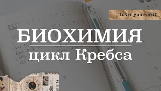 Цикл Кребса (цикл трикарбоновых кислот) | Биохимия