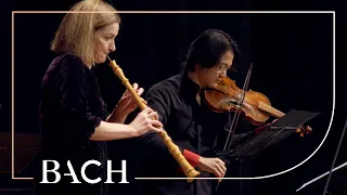 Bach - Sinfonia from Cantata Ich hatte viel Bekümmernis BWV 21 - Sato | Netherlands Bach Society