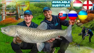 Summer Feeder Adventures  part 4.  A Return to the Realm of Grass Carp