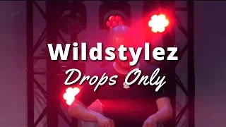 [DROPS ONLY] Wildstylez @ Art Of Creation Live | We Own The Night TV