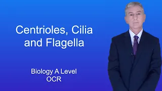 A Level Biology Revision "Centrioles, Cilia and Flagella (OCR)"