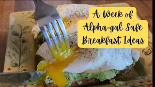 Alpha-Gal Syndrome, What CAN I Eat: 7 days of breakfasts!