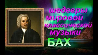 ШЕДЕВРЫ МИРОВОЙ 🦜 КЛАССИЧЕСКОЙ МУЗЫКИ БАХ🌈