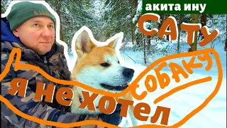 ВЛОГ | Я НЕ ХОТЕЛ СОБАКУ | АКИТА ИНУ ИСТОРИЯ НАШЕЙ СЕМЬИ И СОБАКИ