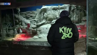 Kyiv Zoo workers try to save animals under attacks