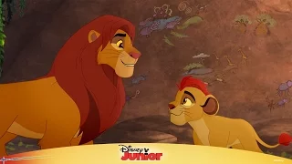 Simba forklarer Løvenes garde - Disney Junior Norge