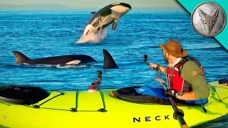 Surrounded by KILLER WHALES!