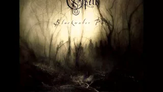Opeth Brutal Riffs