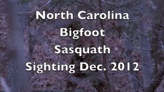 Bigfoot Sighting While Deer Hunting 2012