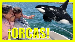 **NOS ATACAN ORCAS ASESINAS** Pasamos Mucho MIEDO #hifamilyteam