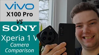 Vivo X100 Pro vs Xperia 1 V - Zeiss vs Zeiss - Camera Comparison