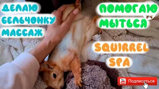 У белки spa... 🏖️ Как я делаю бельчонку массаж и помогаю мыться 🤭🐿️ Squirrel spa