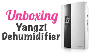 Yangzi Dehumidifier unboxing and review