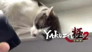 Yakuza 3 Cat