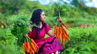 Carrot harvest!🥕for boondi laddu & chicken masala fried rice too..|Poorna-The nature girl