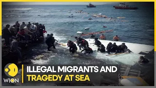 45 migrants die in Southern Coast of Italy, 40 survivors reported so far | Latest World News | WION