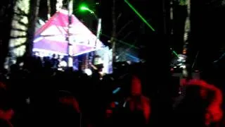 Fractal Forest - Shambhala 2011