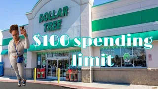 $100 budget run at the dollar tree. Learning how to stay in my budget range #budget