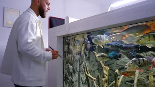 Das fressen meine XXL Raubfische! Monsterfish Feeding Time #feeding