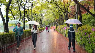 4K Rain Walk Seoul Seokchon Lake and Lotte World Park | April 2024 | ASMR sounds for sleeping