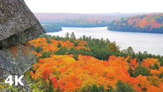 BEAUTIFUL FALL COLOURS in Canada Algonquin Park Autumn Ambience | 4K UHD tv