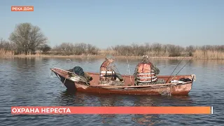 Нерест на Дону: инспекторы рыбоохраны проводят рейды по выявлению нарушителей правил рыболовства
