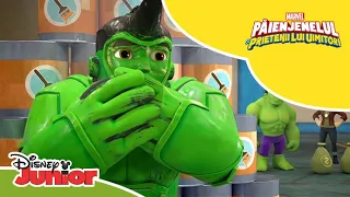 🧑‍🤝‍🧑 Marea problemă a lui Hulk | Păienjenelul Marvel și prietenii lui uimitori | Disney Junior RO