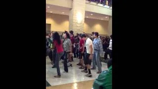 Flash mob THS