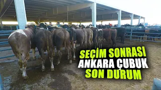 Ramazan Bayramı Öncesi Ankara Çubuk Hayvan Pazarı Son Durum !!!